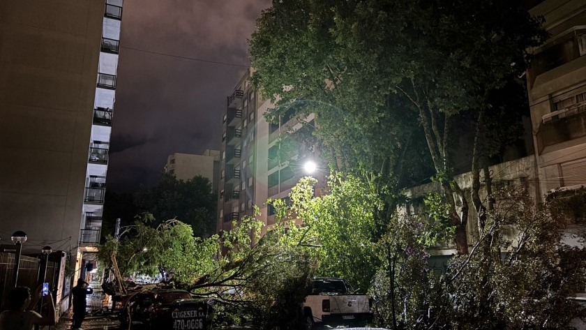 Feroz temporal en Mar del Plata: árboles caídos, autos destrozados e inundaciones