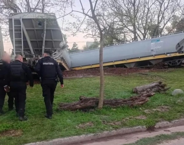 Una formación del Belgrano Cargas descarriló en la madrugada de este jueves en la ciudad de Santa Fe