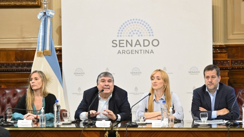 El kirchnerismo presentó en el Senado un proyecto para regularizar deudas previsionales